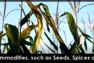 Kohenoor International