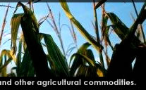 Kohenoor International