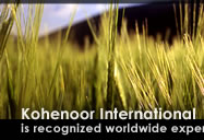Kohenoor International