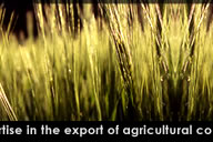 Kohenoor International