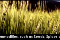 Kohenoor International