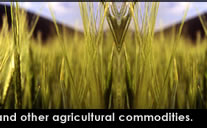 Kohenoor International