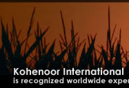 Kohenoor International