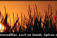 Kohenoor International