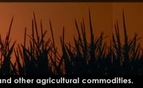 Kohenoor International