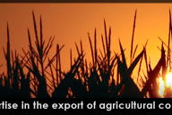 Kohenoor International