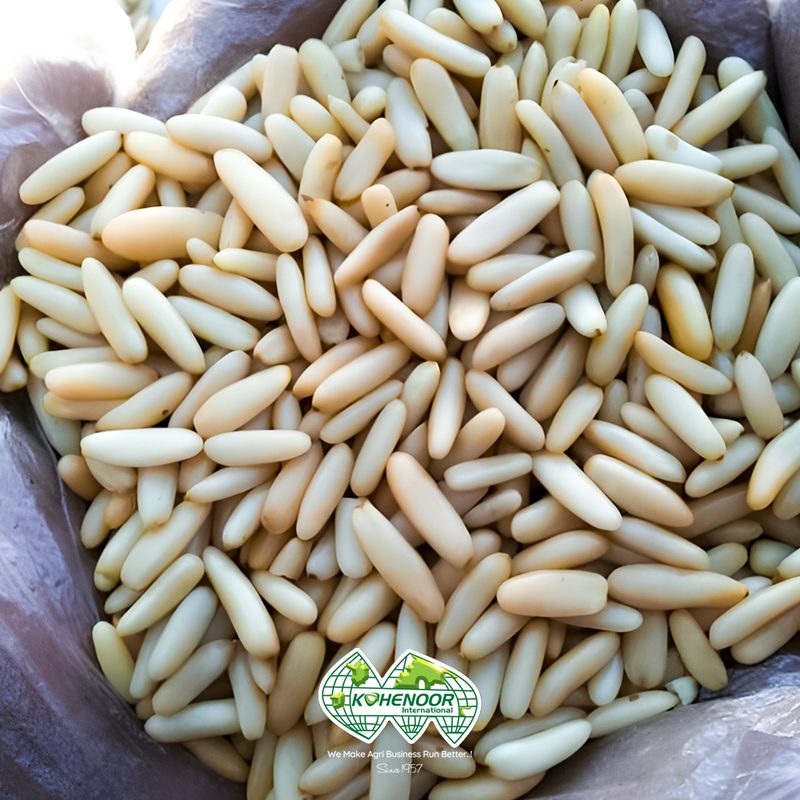 Pine Nuts
