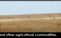 Kohenoor International