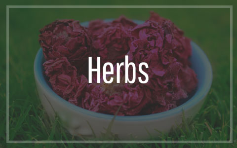 Herbs & Spices